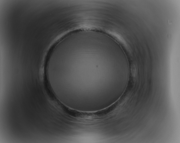 X0000089720488200707121433