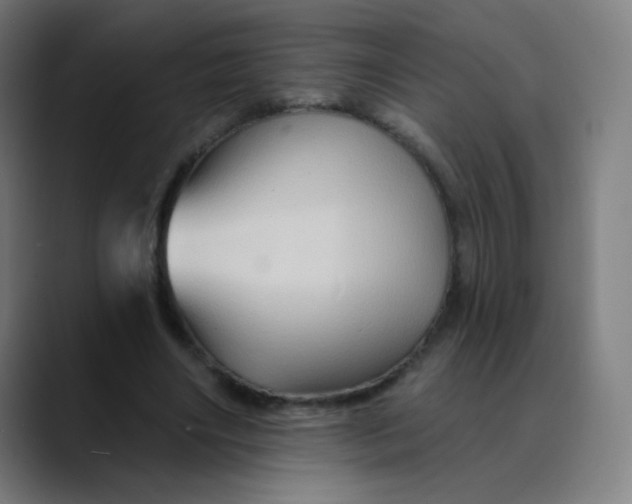 X0000089720490200707121433