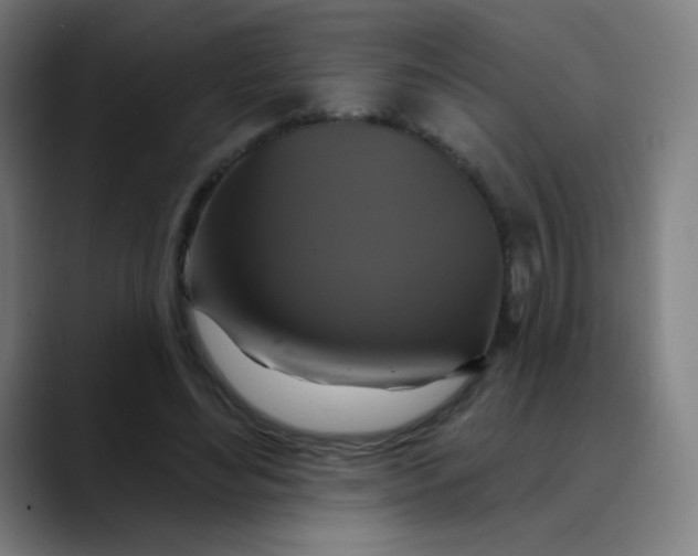 X0000089720492200707121433