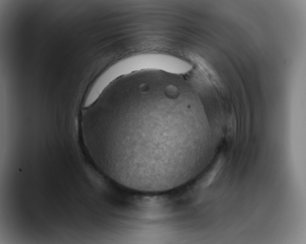 X0000089720493200707121433