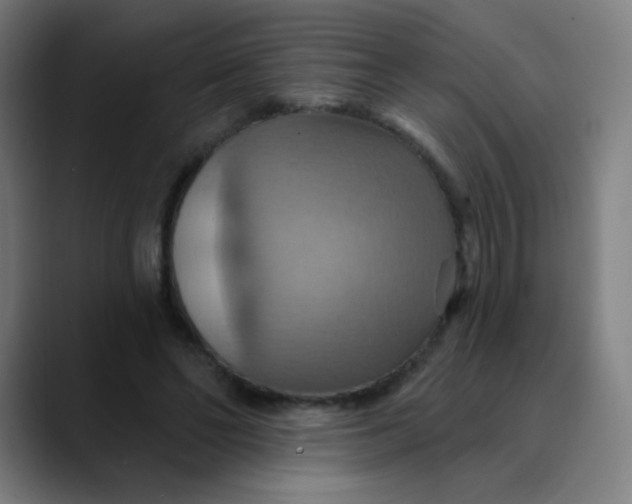 X0000089720494200707121433