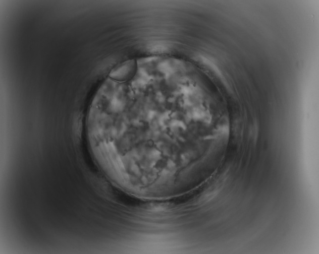 X0000089720495200707121433