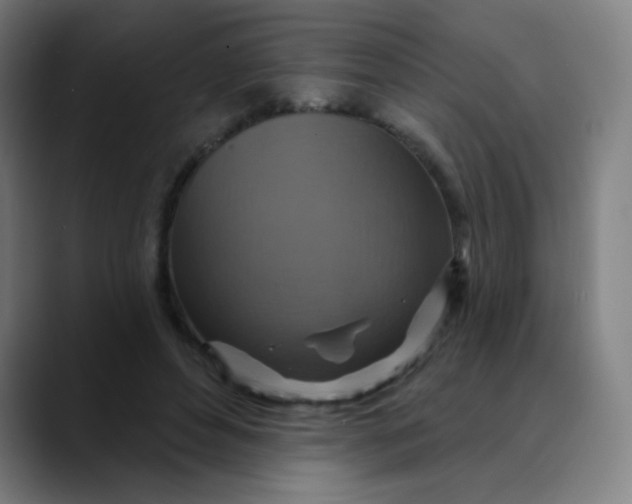 X0000089720496200707121433