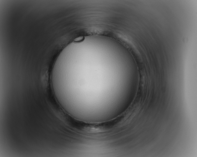 X0000089720498200707121433