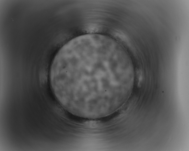 X0000089720499200707121433