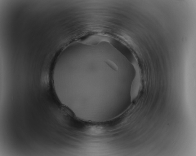 X0000089720500200707121433