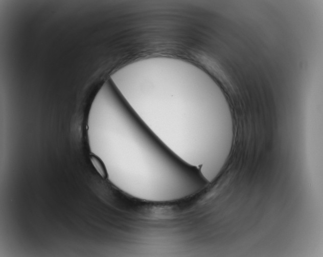 X0000089720501200707121433