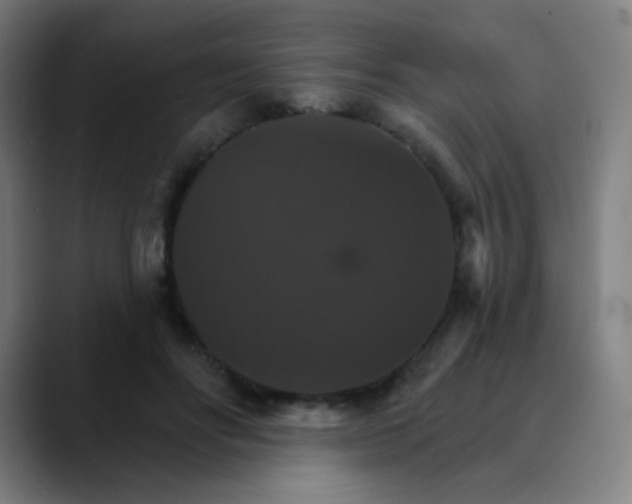 X0000089720502200707121433