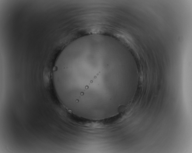 X0000089720503200707121433