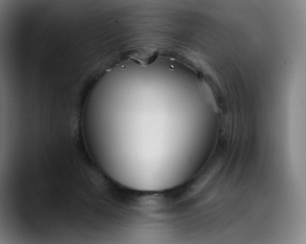 X0000089720505200707121433