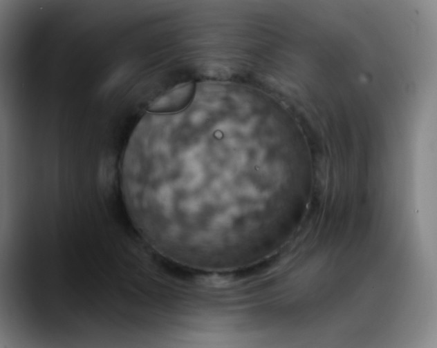 X0000089720511200707121433