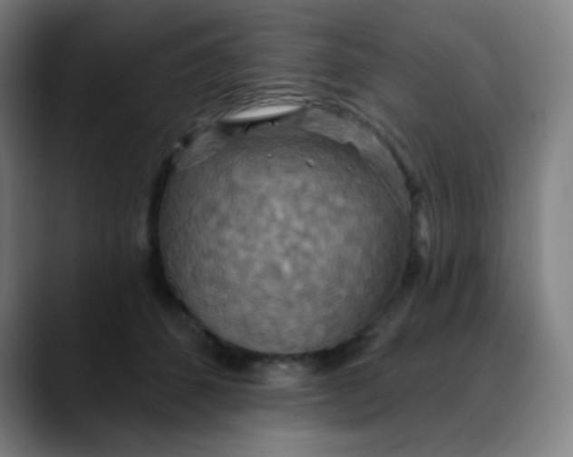 X0000089720512200707121433