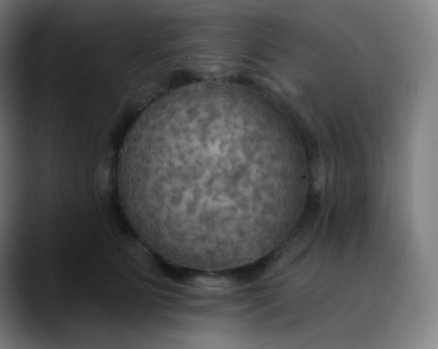 X0000089720515200707121433