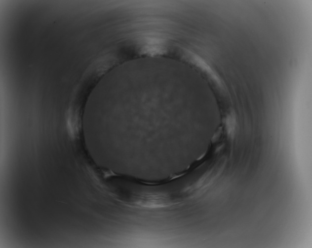 X0000089720517200707121433