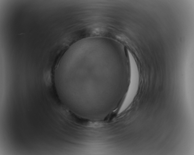 X0000089720520200707121433