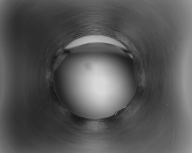 X0000089720521200707121433