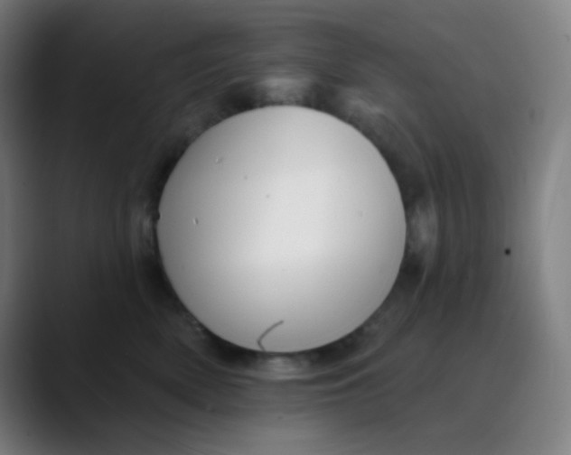 X0000089720522200707121433