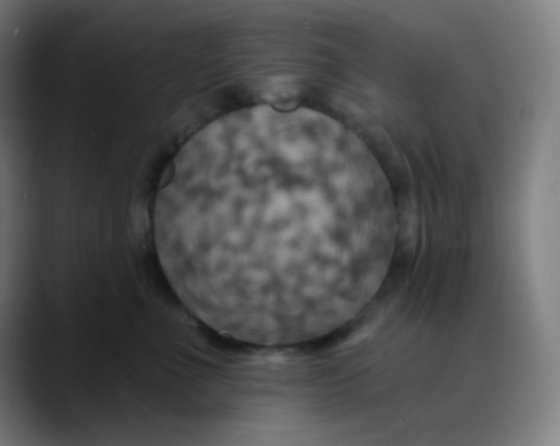 X0000089720523200707121433