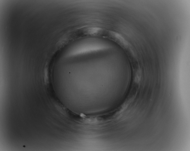 X0000089720524200707121433