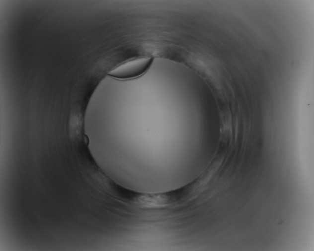 X0000089720526200707121433