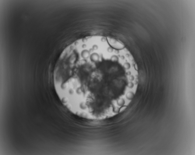 X0000089720527200707121433