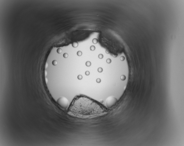 X0000089720529200707121432