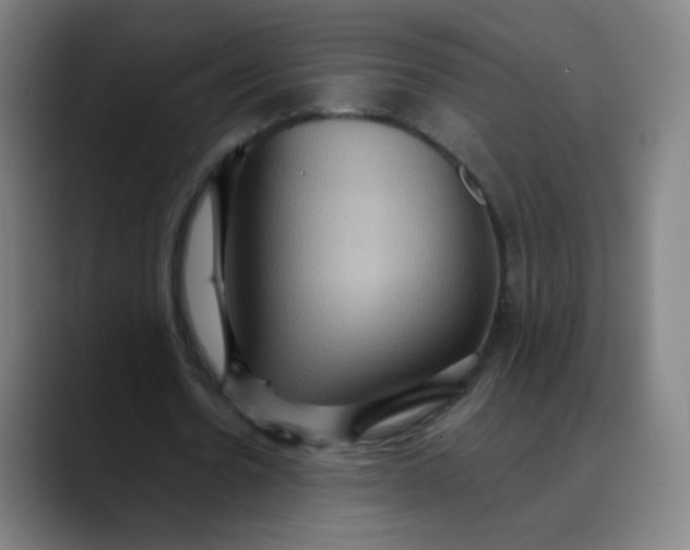 X0000089720530200707121432