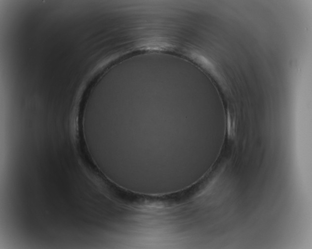 X0000089720531200707121432