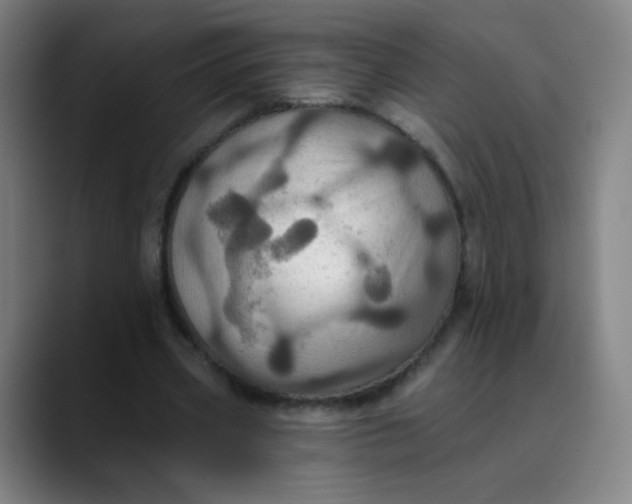 X0000089720533200707121432