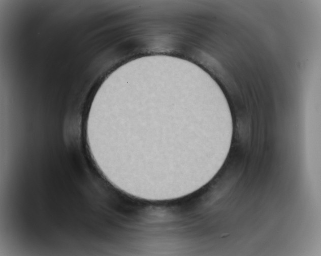 X0000089720534200707121432