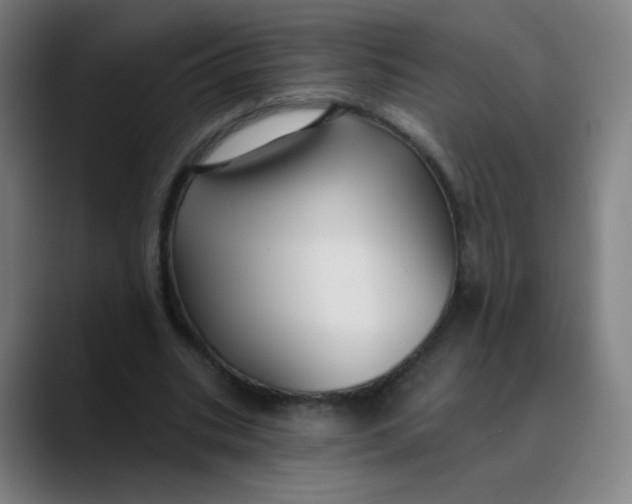 X0000089720535200707121432