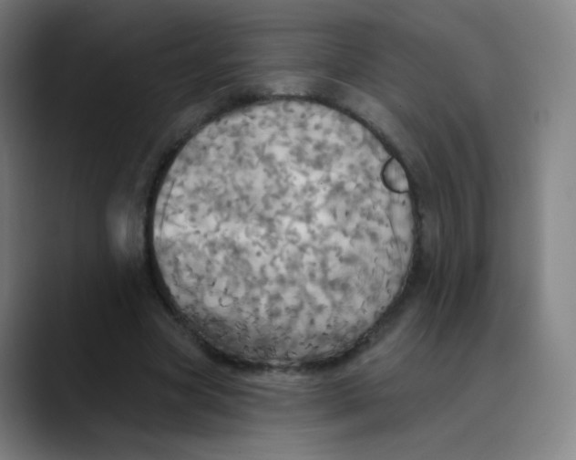 X0000089720537200707121432