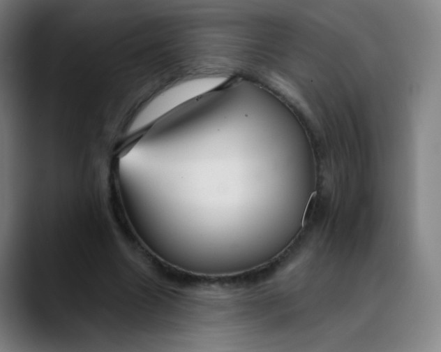 X0000089720538200707121432