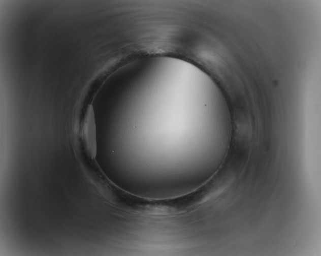 X0000089720539200707121432