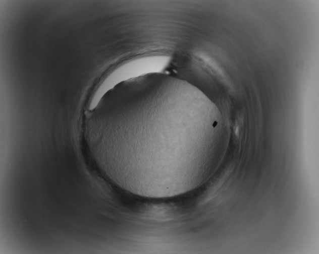 X0000089720540200707121432