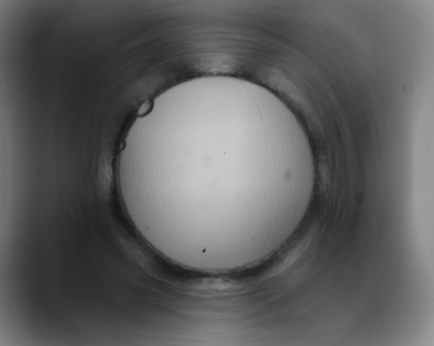 X0000089720541200707121432