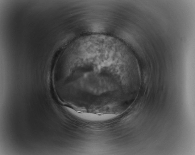 X0000089720542200707121432