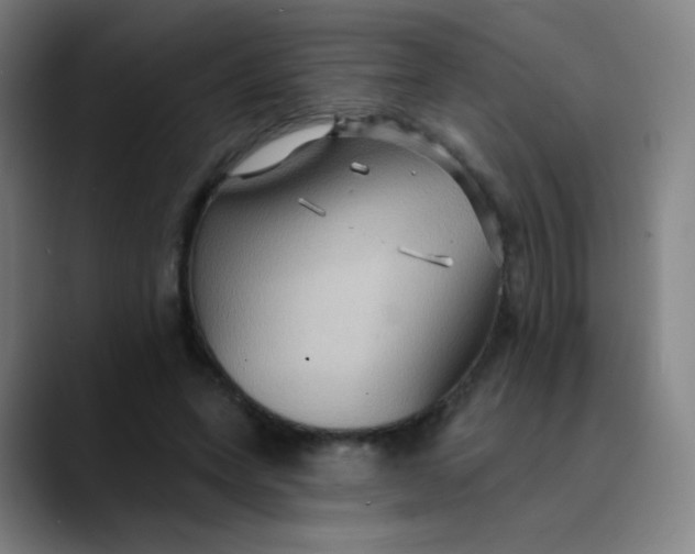 X0000089720543200707121432