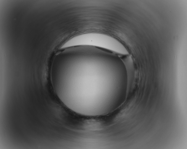 X0000089720544200707121433