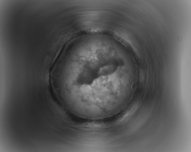 X0000089720545200707121433