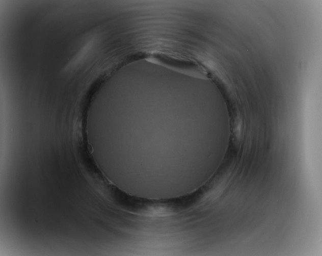 X0000089720547200707121433