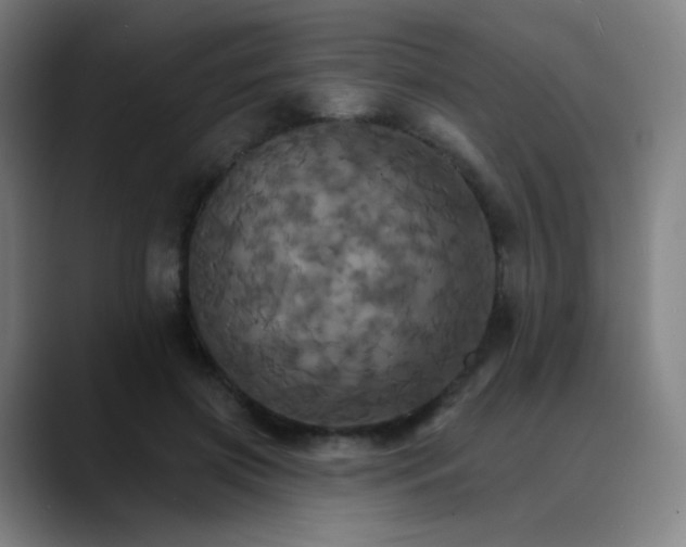 X0000089720549200707121433