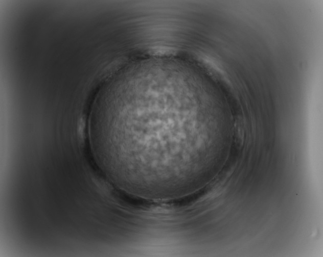 X0000089720550200707121433