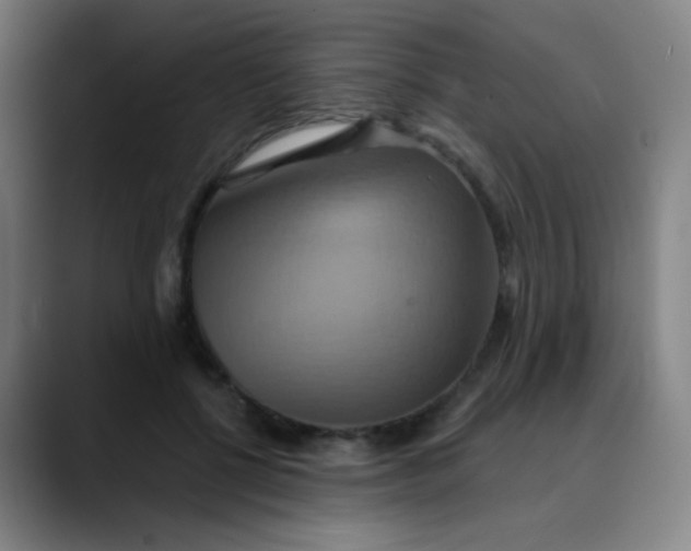 X0000089720552200707121433