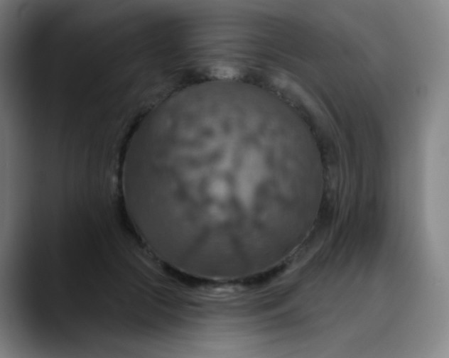 X0000089720553200707121433