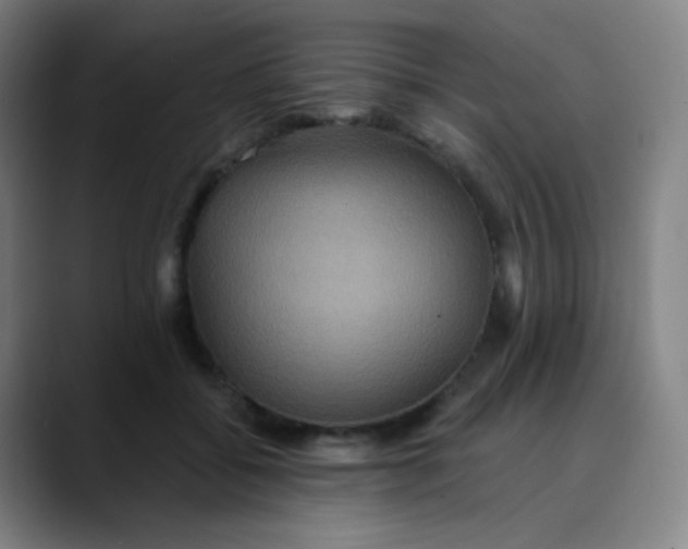 X0000089720556200707121433