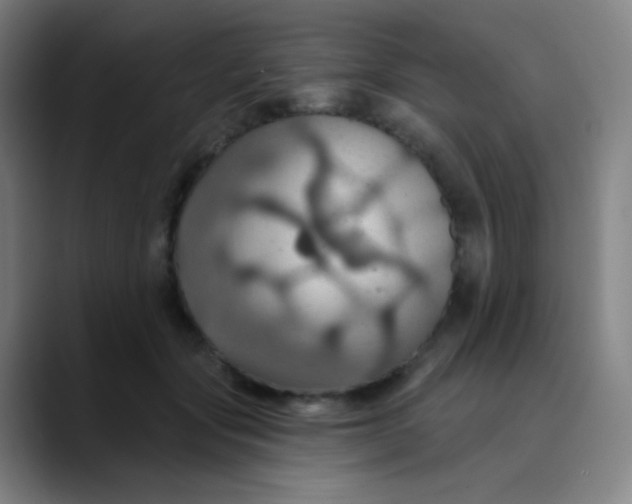 X0000089720557200707121433