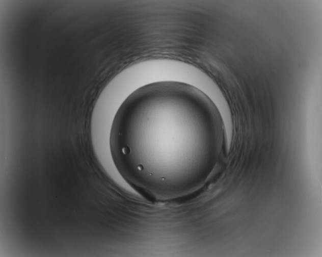 X0000089720558200707121433