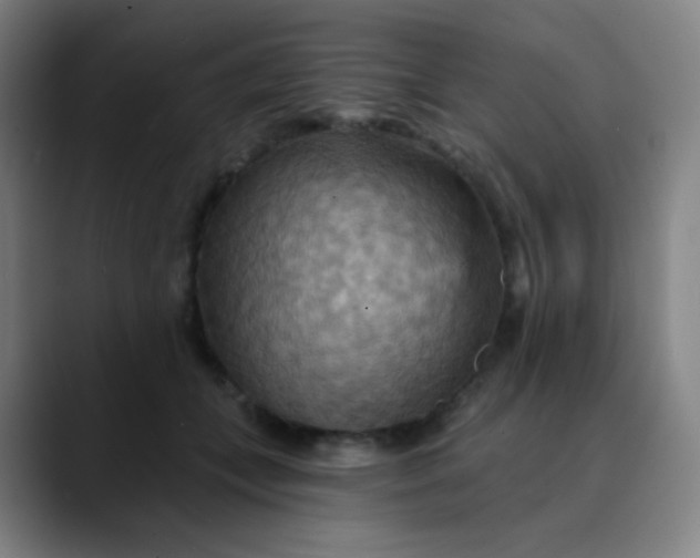 X0000089720559200707121433