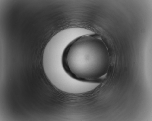 X0000089720560200707121433